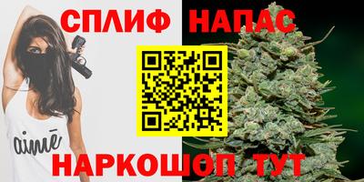 гидра Шахты