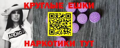гашик Шебекино