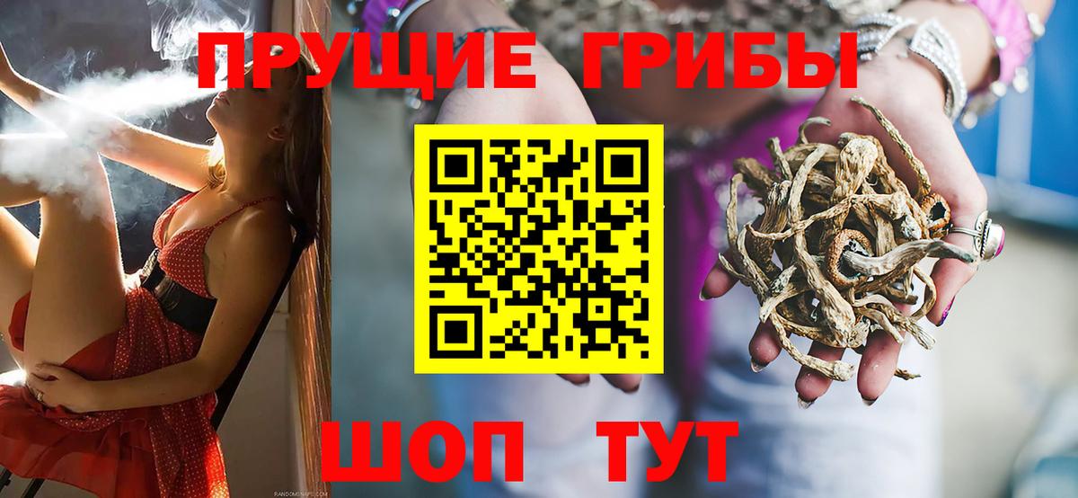 Артём  Псилоцибиновые грибы Cubensis  Вход с VPN  Галлюциногенные грибы Psilocybe 